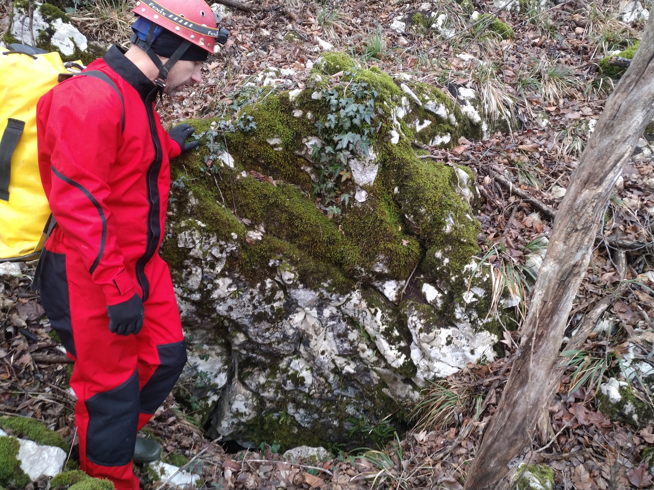 Avenul Tepos - Image 1